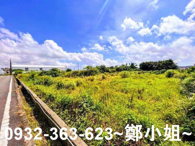 大園農地-4