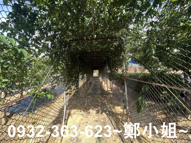 桃園八德農地-6