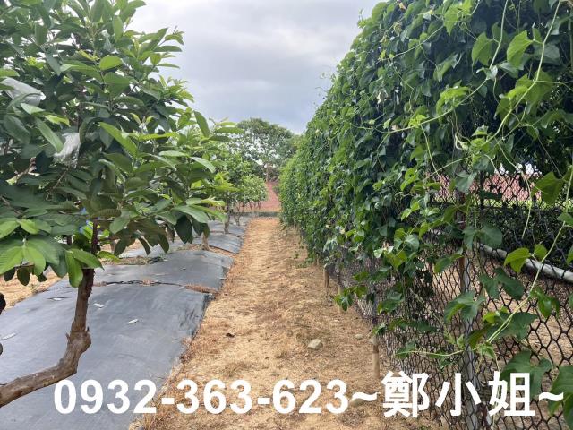 桃園八德農地-7