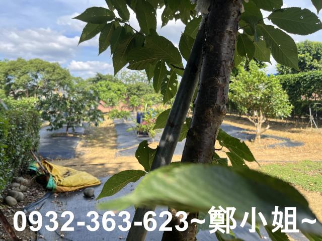 桃園八德農地-1