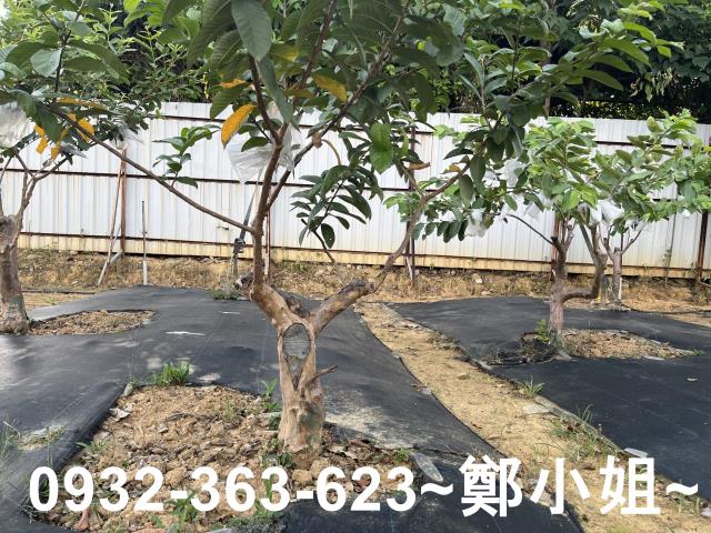 桃園八德農地-2