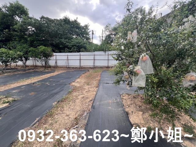 桃園八德農地-10