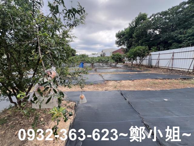 桃園八德農地-11
