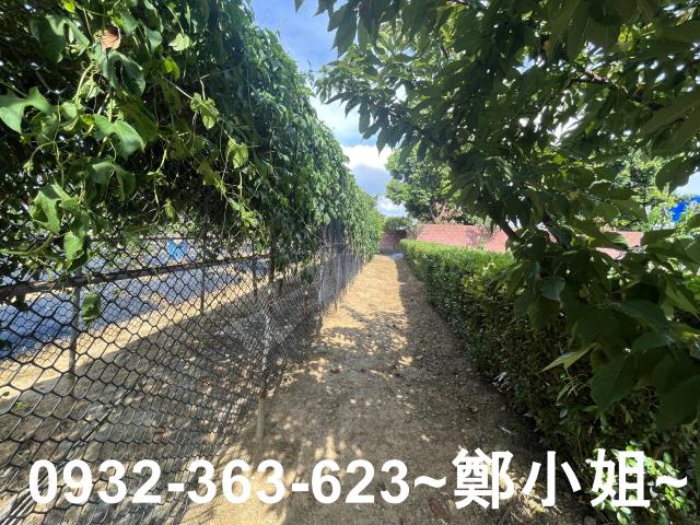 桃園八德農地-3