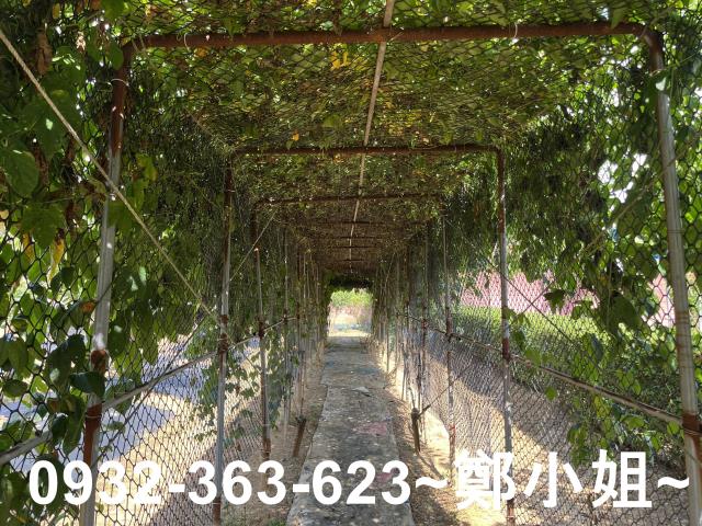 桃園八德農地-4