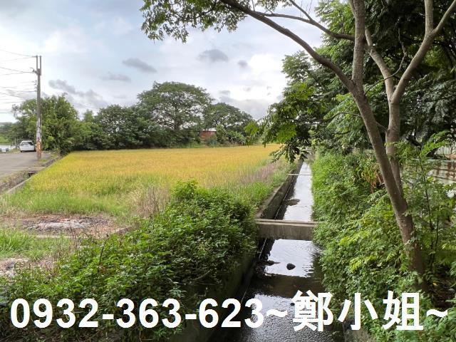 桃園農地-12