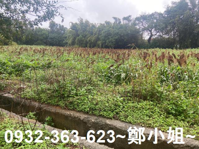 新屋農地-11