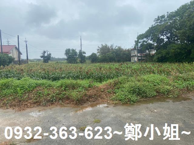 新屋農地-2