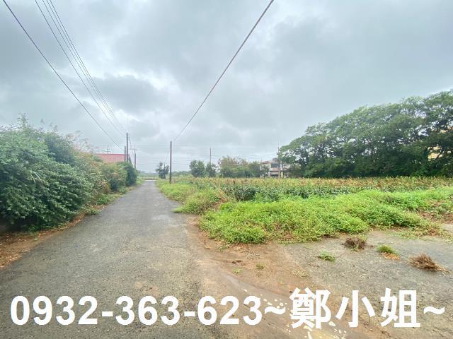 新屋農地-5