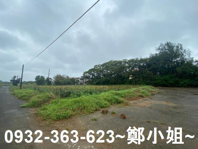 新屋農地-6
