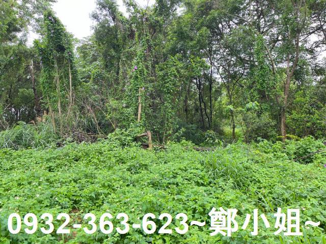 桃園龍潭農地-8