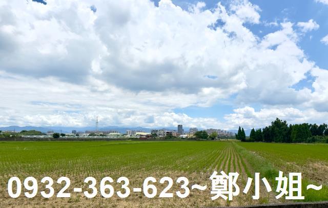 桃園農地-1