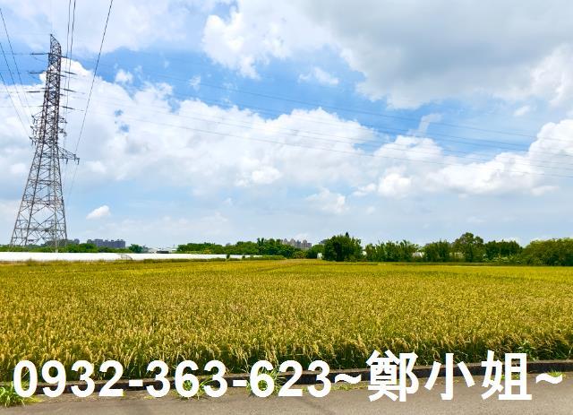 桃園農地-2