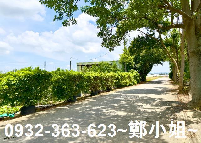 桃園農地-6