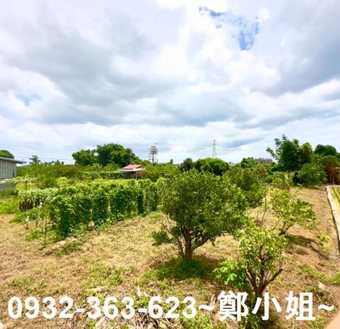 桃園農地-7