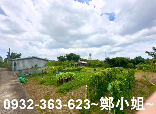 桃園農地-8