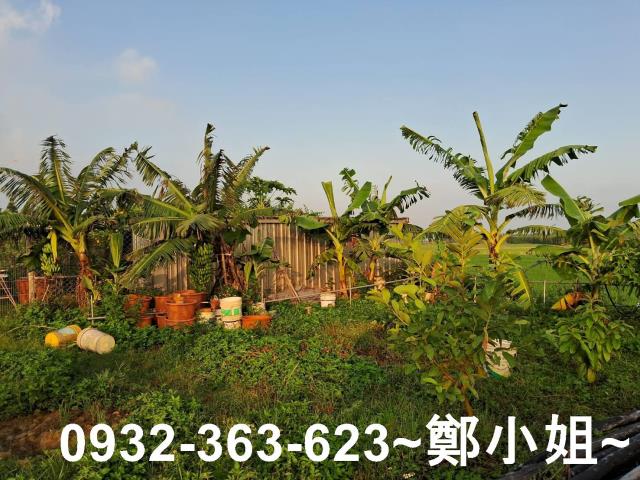 新屋農地-13