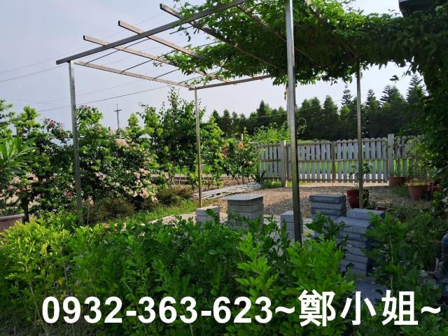 新屋農地-1