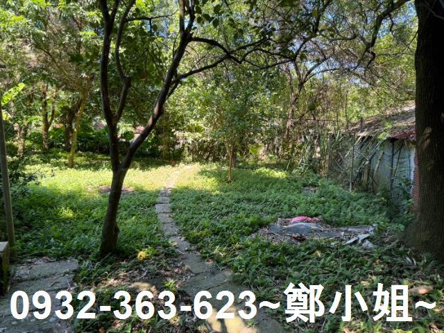 大溪建地-8