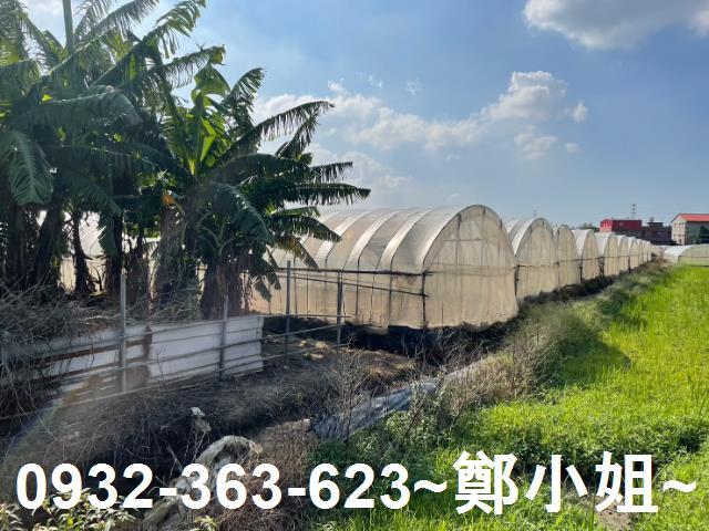 桃園農地-3