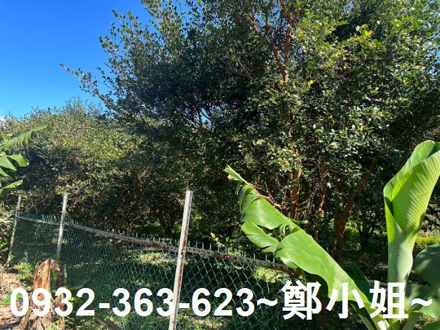 桃園農地-3