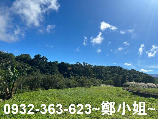 桃園農地-6