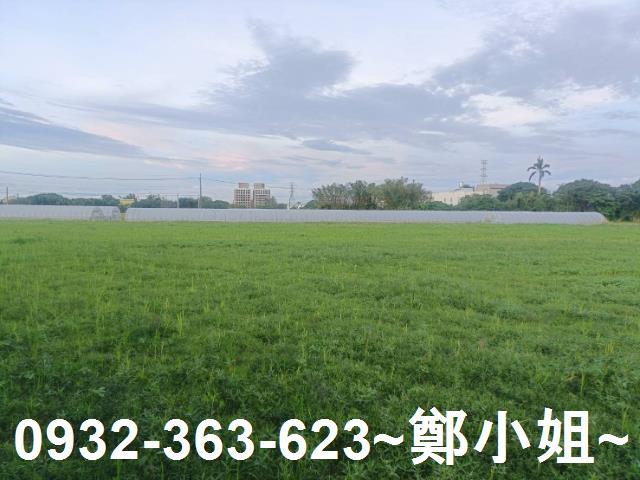 桃園八德農地-0