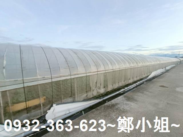 桃園八德農地-2