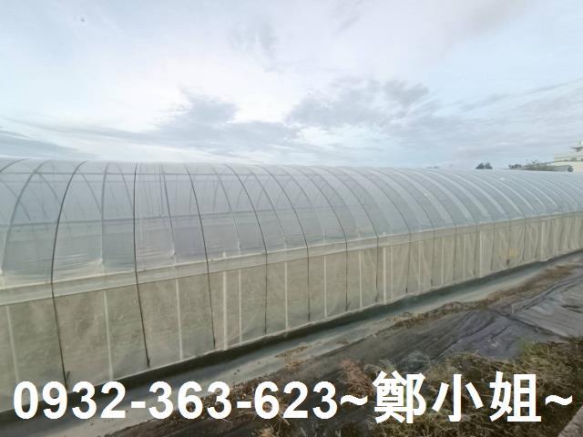 桃園八德農地-3