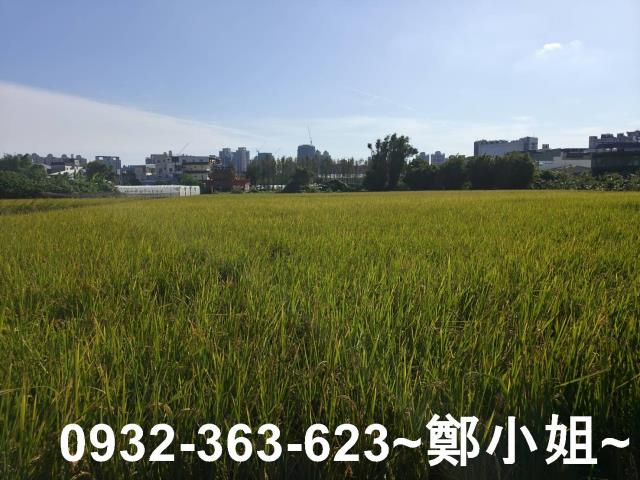 桃園桃園區農地-9
