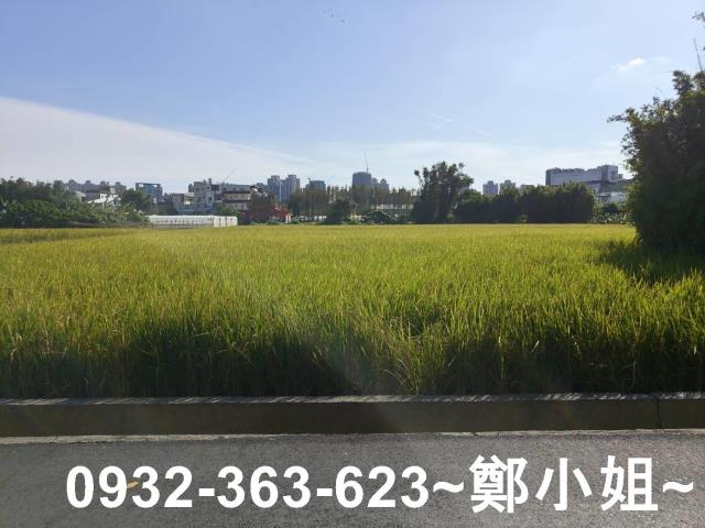 桃園桃園區農地-12