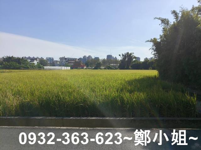桃園桃園區農地-13