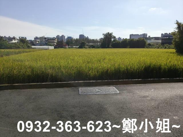 桃園桃園區農地-4