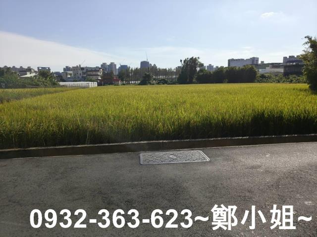 桃園桃園區農地-5