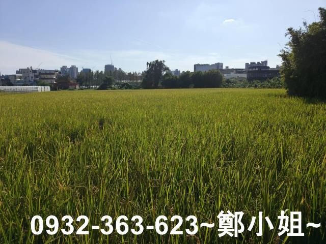 桃園桃園區農地-6