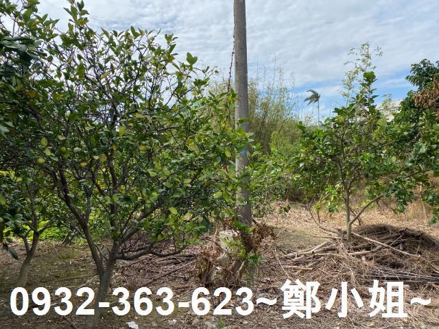 桃園桃園區農地-0