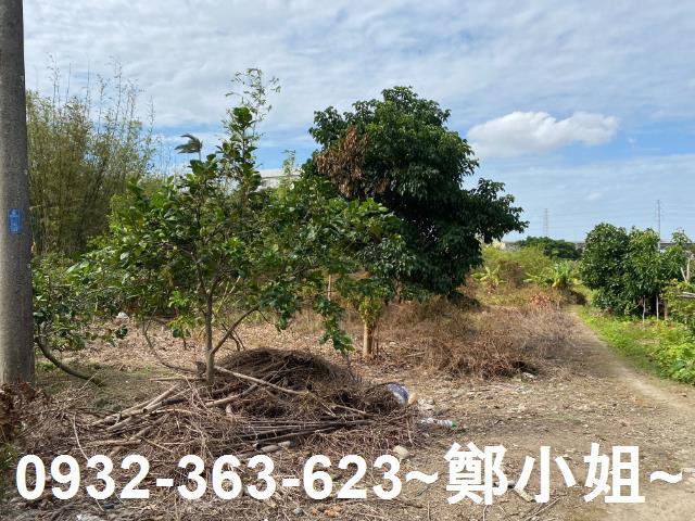 桃園桃園區農地-1