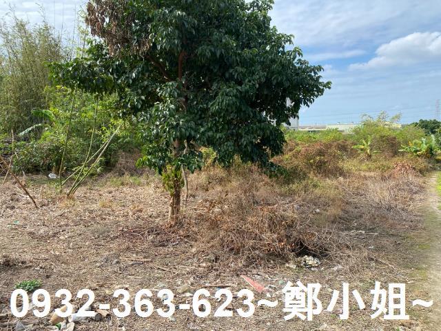 桃園桃園區農地-2