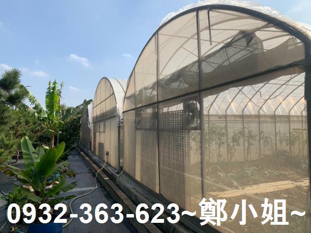 桃園中壢農地-5
