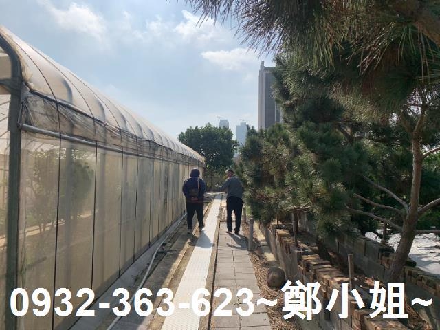 桃園中壢農地-6