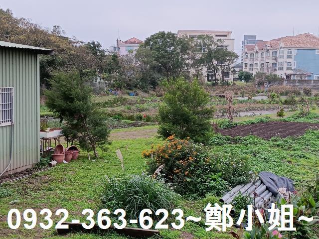 大溪農地-11