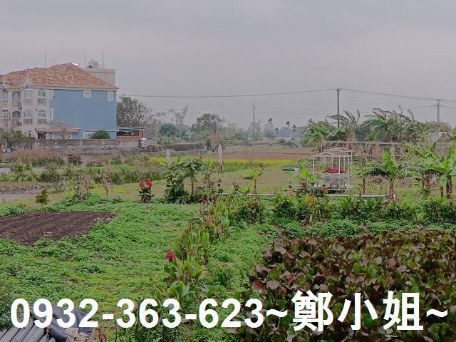 大溪農地-12