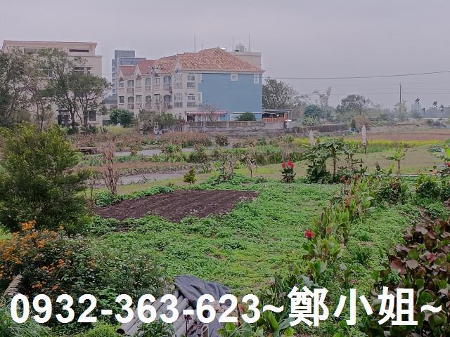 大溪農地-13