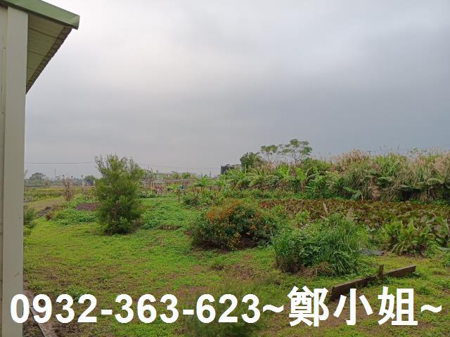大溪農地-5