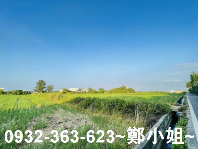 大園農地-1