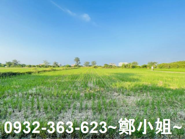 大園農地-2