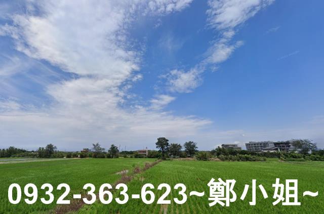 大園農地-6