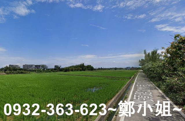 大園農地-7