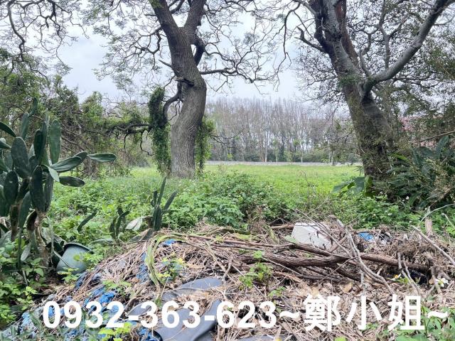 觀音農地-3
