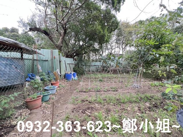 觀音農地-4